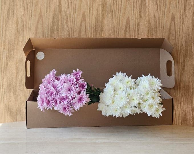 Flowers Subscription 1