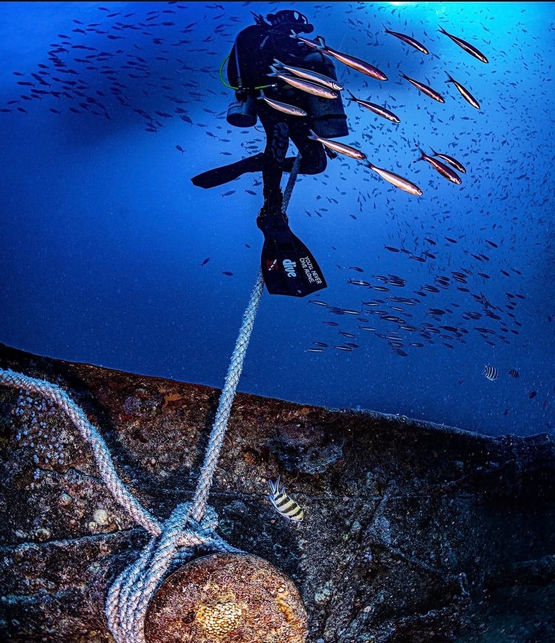 underwater model