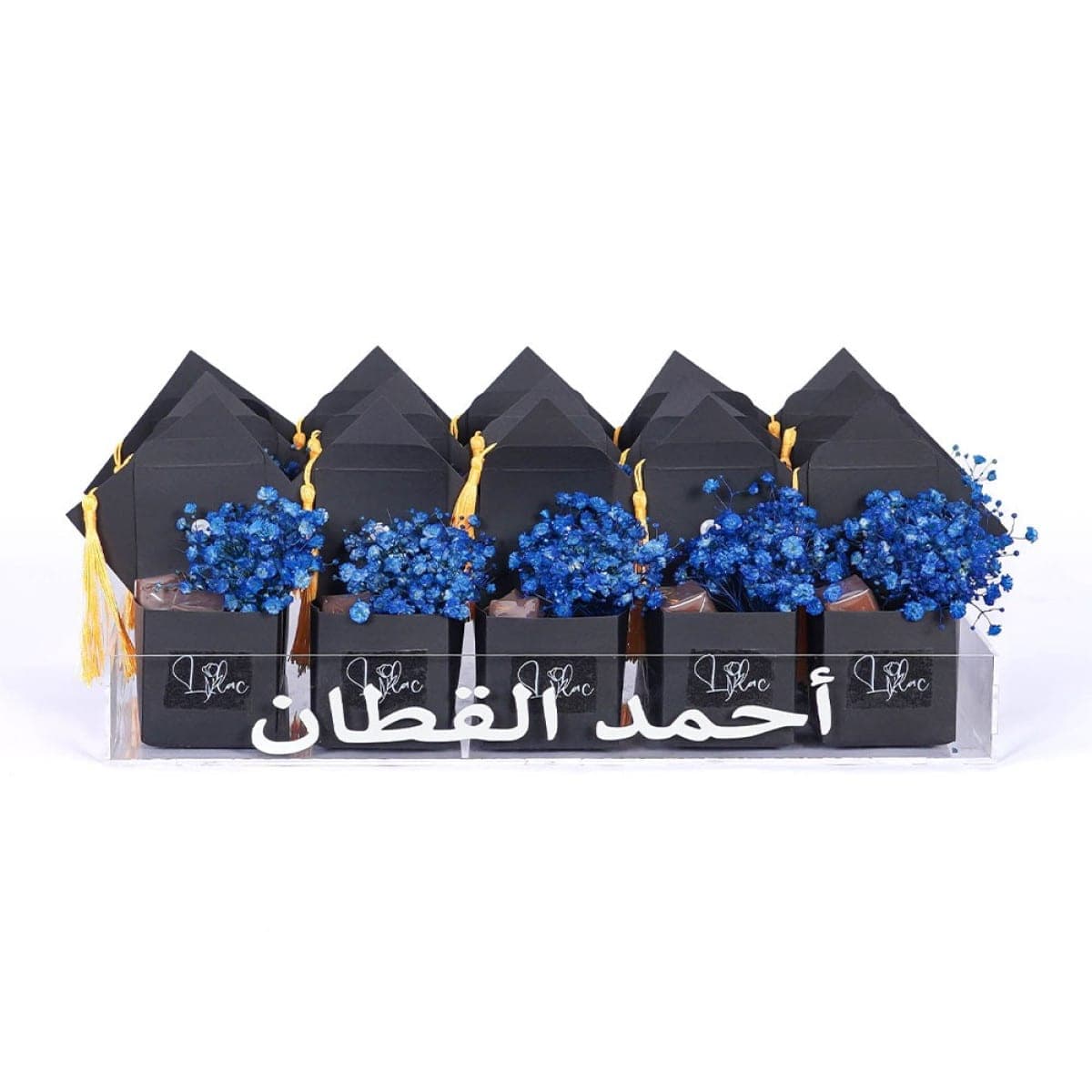 توزيعات كاب التخرج