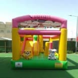 Animal Fun Bouncer (N3021)