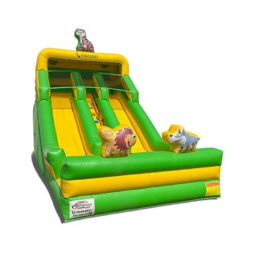 Jungle Slide (N6018)
