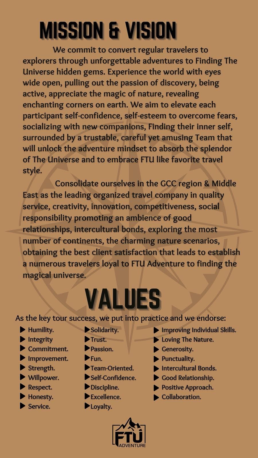 mission/ vision/values