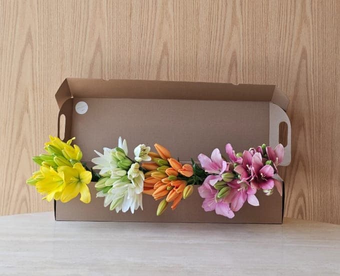 Flowers Subscription 2